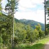 09 b Schluchensteig Etappe 4 - 6